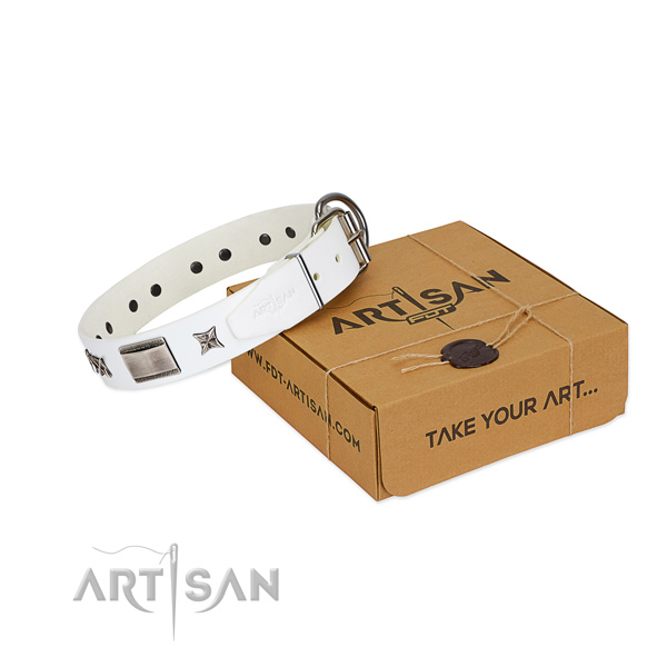 Embellished collar of leather for your beautiful dog