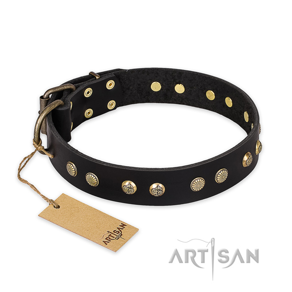 Impressive full grain genuine leather dog collar with rust resistant hardware