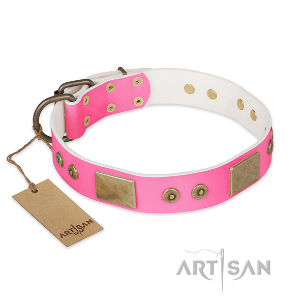 Easy to adjust genuine leather dog collar for walking your canine