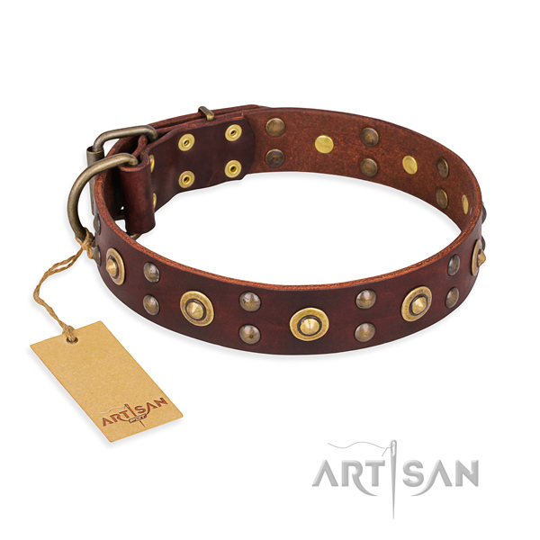 Amazing genuine leather dog collar with durable traditional buckle