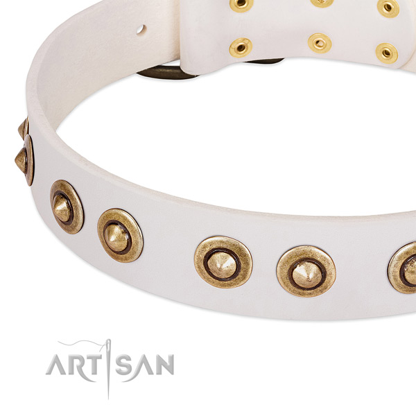 Corrosion resistant embellishments on genuine leather dog collar for your dog
