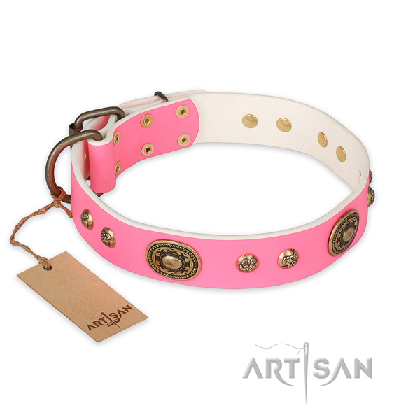 Adorned leather dog collar for stylish walking