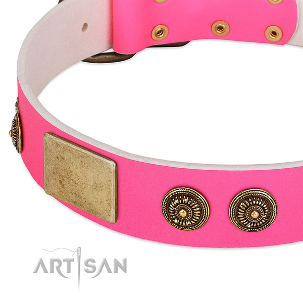 Best quality dog collar handmade for your stylish pet