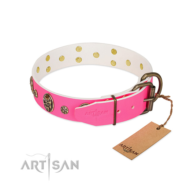 Corrosion resistant traditional buckle on full grain genuine leather collar for walking your dog
