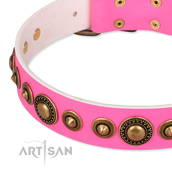 Durable genuine leather dog collar handcrafted for your beautiful pet