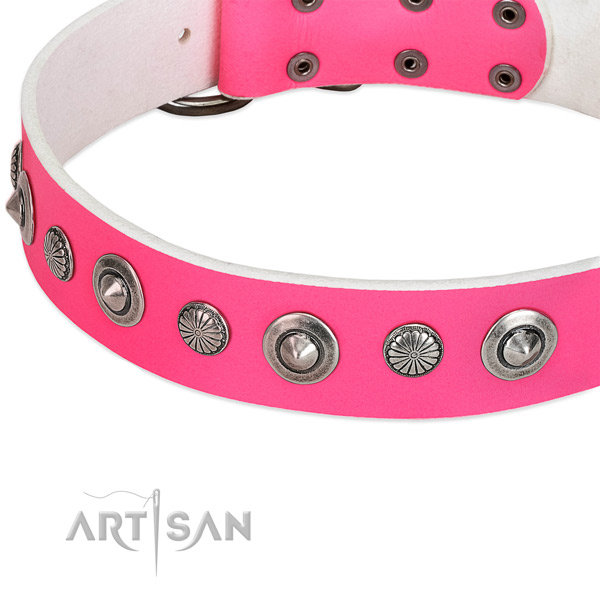 Leather collar with strong fittings for your handsome dog