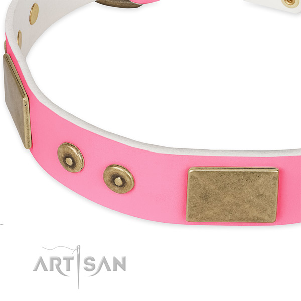 Genuine leather dog collar with studs for everyday walking