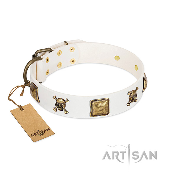Extraordinary full grain genuine leather dog collar with rust resistant studs