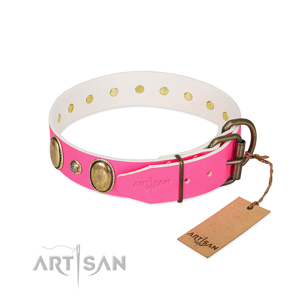 Everyday walking high quality full grain genuine leather dog collar