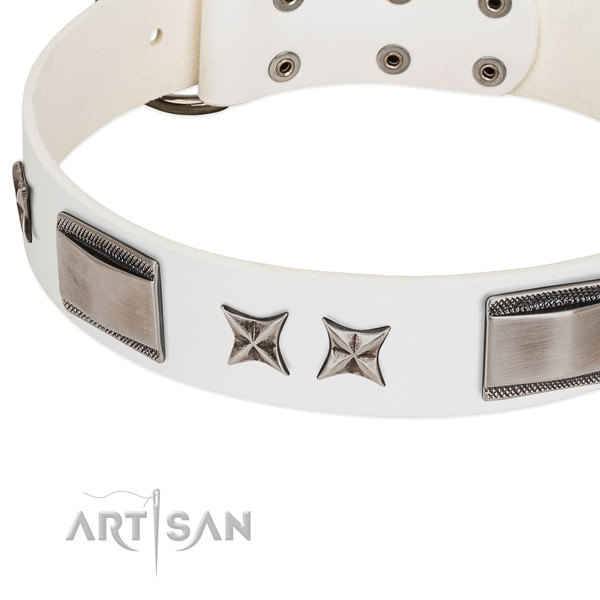 Reliable leather dog collar with rust resistant traditional buckle
