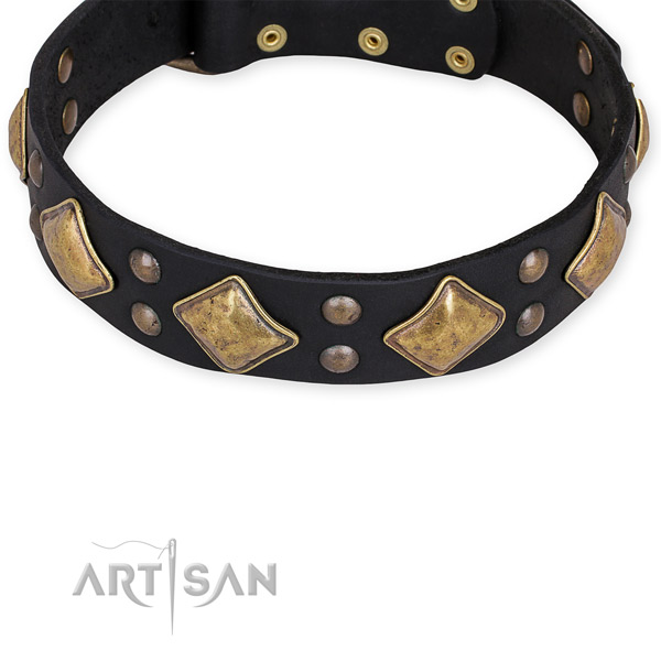 Leather dog collar with trendy durable adornments