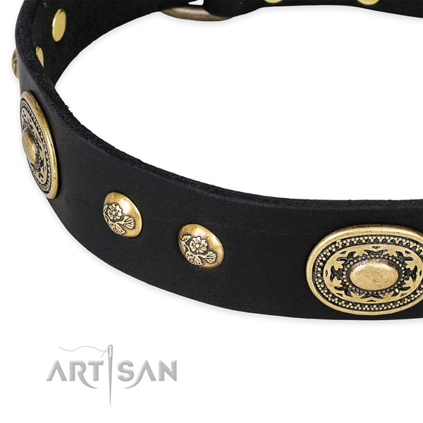 Studded leather collar for your beautiful canine