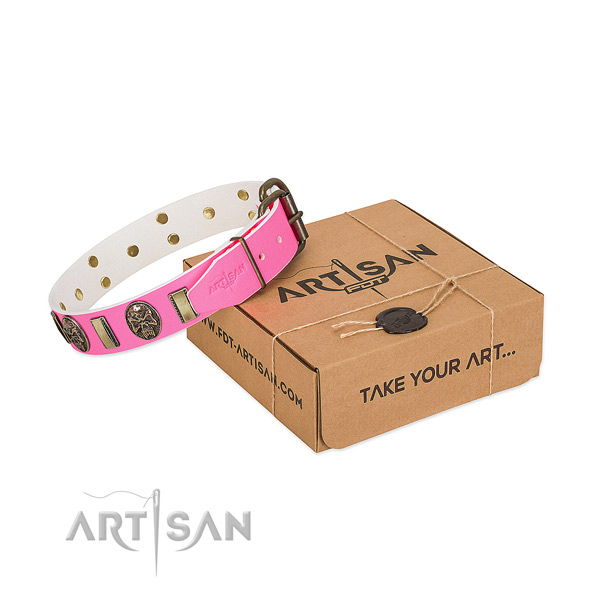 Corrosion resistant adornments on full grain genuine leather dog collar for your four-legged friend