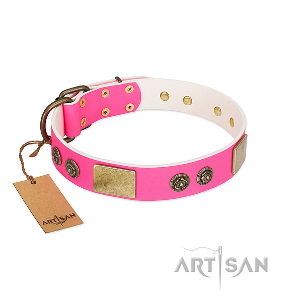 Unique genuine leather dog collar for daily walking