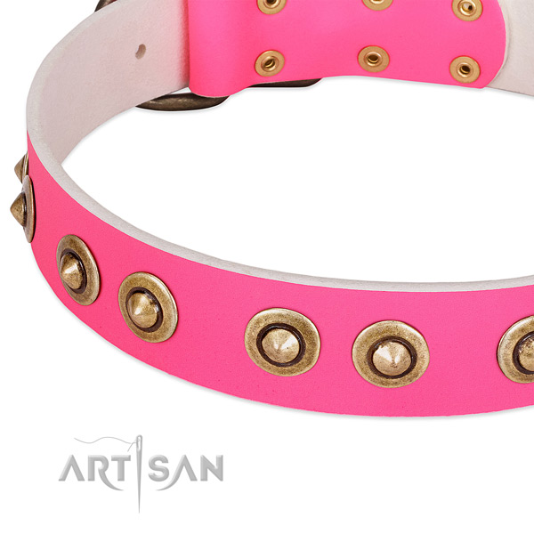 Corrosion resistant embellishments on full grain genuine leather dog collar for your canine