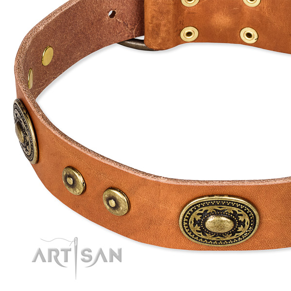 Natural genuine leather dog collar made of top notch material with studs