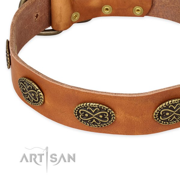 Stylish genuine leather collar for your beautiful canine