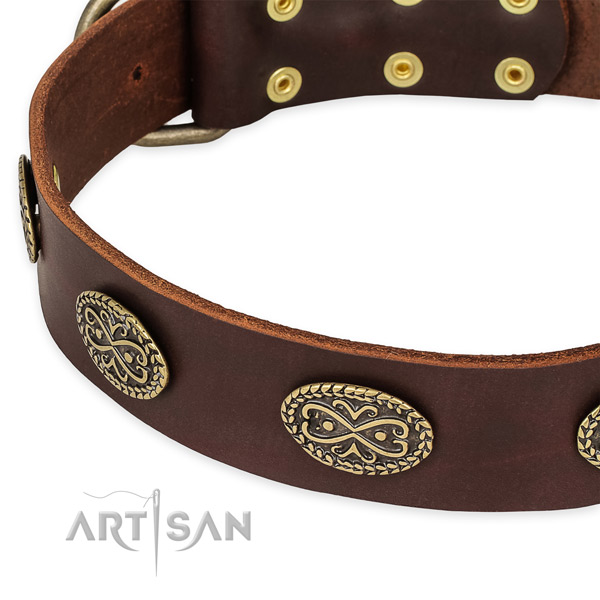 Stunning full grain leather collar for your beautiful doggie