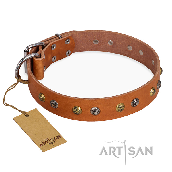 Daily use embellished dog collar with corrosion proof hardware