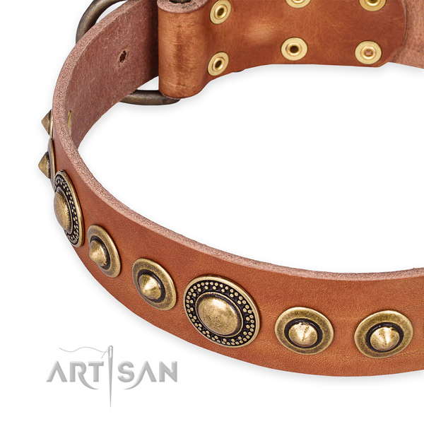 Quality full grain leather dog collar created for your handsome dog