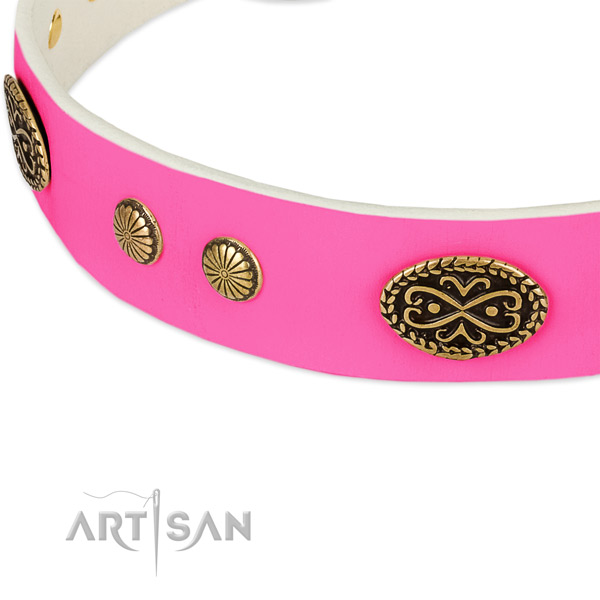 Rust resistant decorations on leather dog collar for your dog
