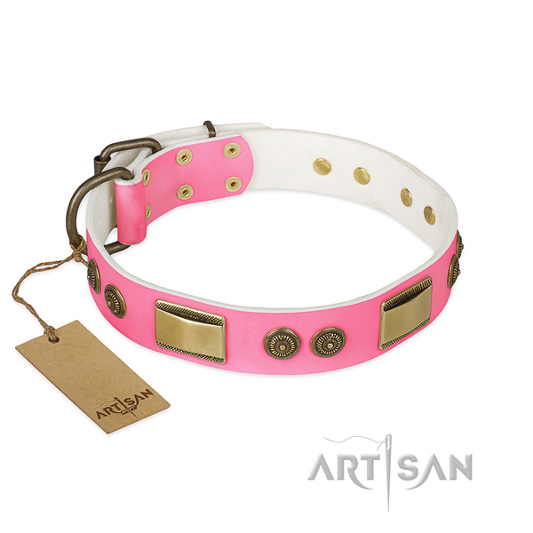 Exceptional full grain natural leather dog collar for daily walking