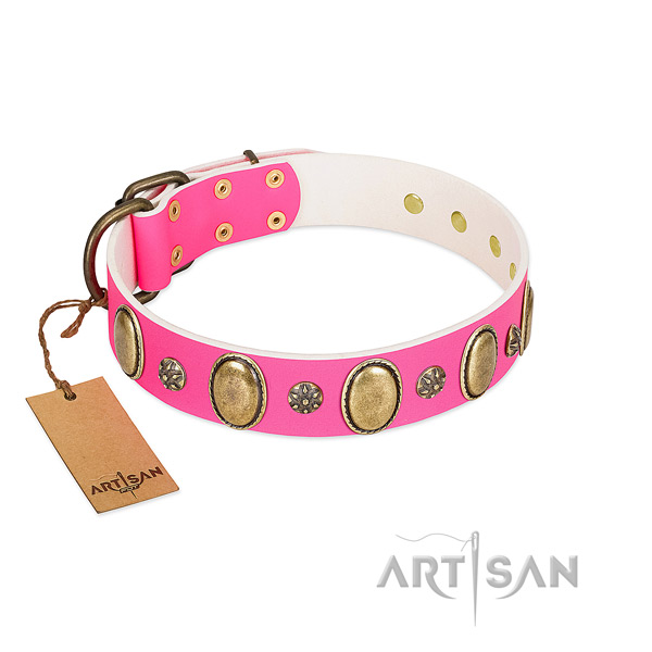 Soft to touch leather dog collar with strong traditional buckle