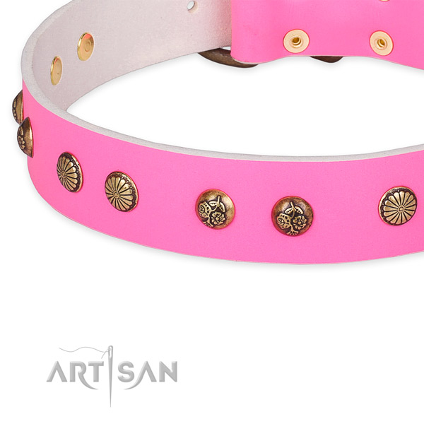 Impressive full grain leather collar for your beautiful dog