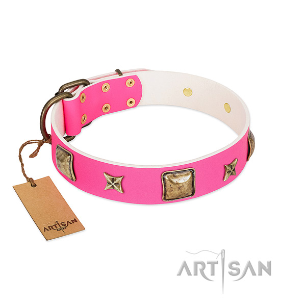 Full grain natural leather dog collar of reliable material with designer embellishments