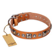 "Era of Future" FDT Artisan Handcrafted Tan Leather English Bull Terrier Collar with Decorations