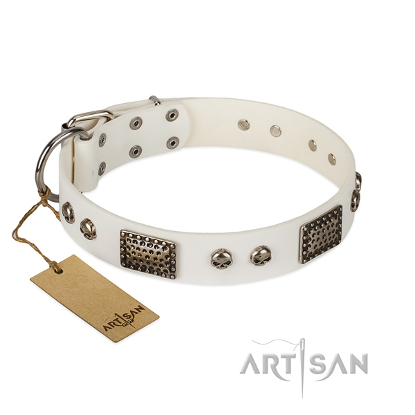 Easy adjustable full grain natural leather dog collar for basic training your four-legged friend