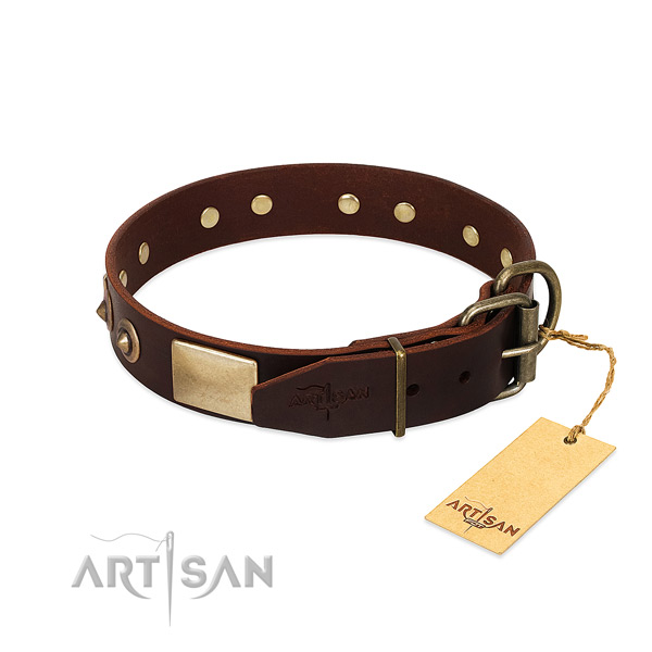 Durable decorations on basic training dog collar