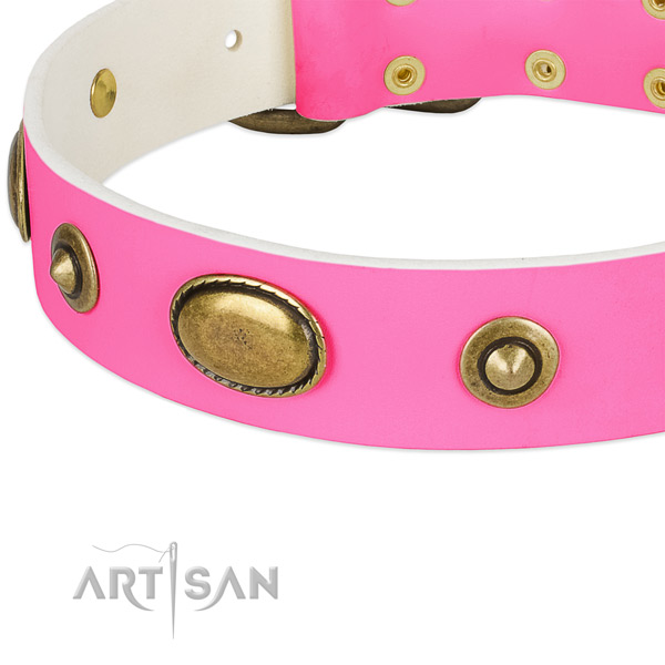 Durable decorations on genuine leather dog collar for your dog