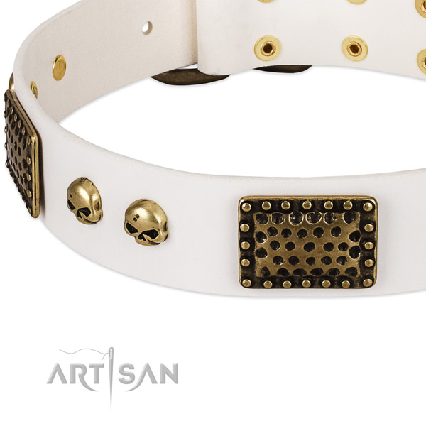 Strong embellishments on full grain natural leather dog collar for your four-legged friend