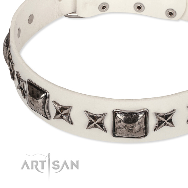 Fancy walking studded dog collar of finest quality full grain leather