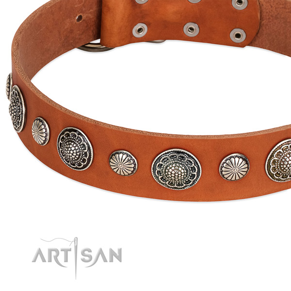 Natural leather collar with rust-proof buckle for your impressive dog