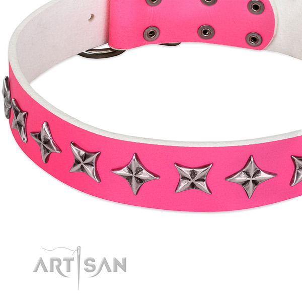 Stylish walking decorated dog collar of finest quality genuine leather