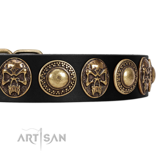 Leather dog collar with embellishments for daily walking