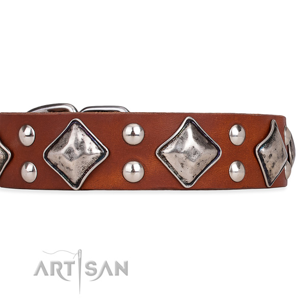 Leather dog collar with remarkable durable studs
