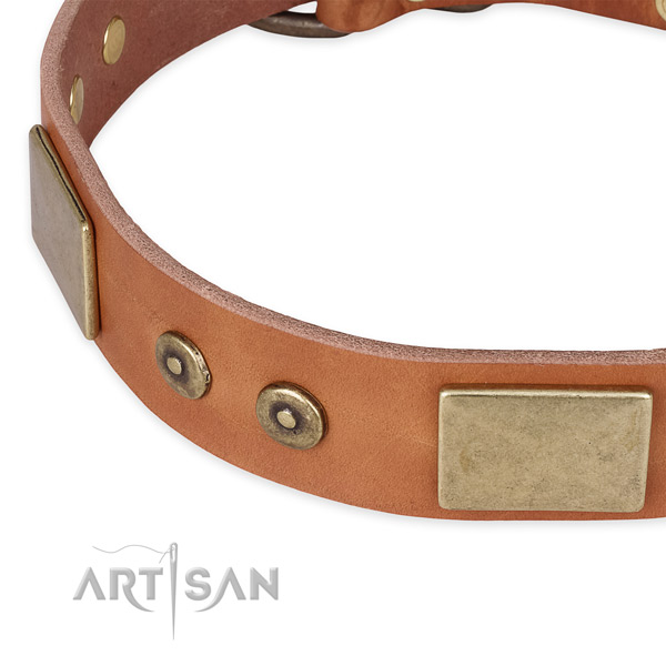 Durable fittings on full grain leather dog collar for your dog