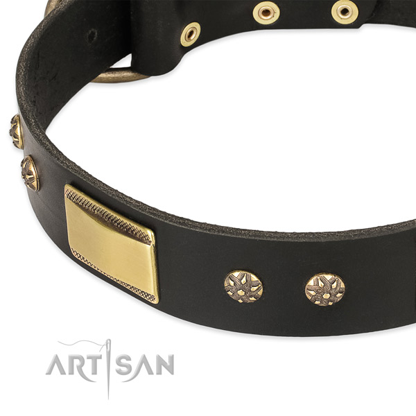 Corrosion resistant buckle on genuine leather dog collar for your four-legged friend