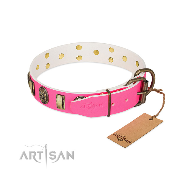 Corrosion proof traditional buckle on leather dog collar for your canine