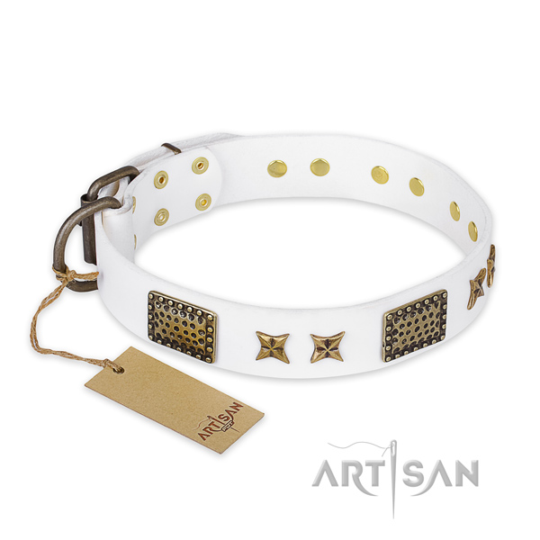 Exceptional genuine leather dog collar with rust-proof fittings