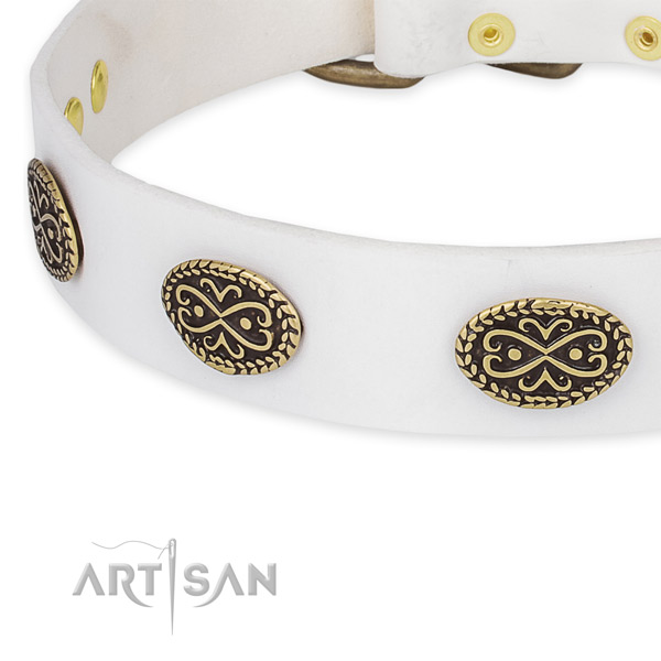 Exceptional genuine leather collar for your stylish canine