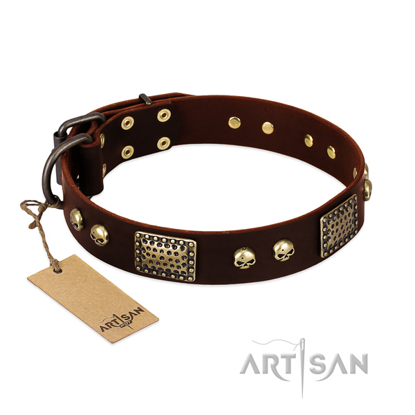 Adjustable genuine leather dog collar for stylish walking your four-legged friend