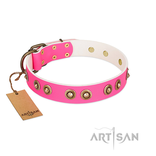 Unique full grain natural leather dog collar for everyday use