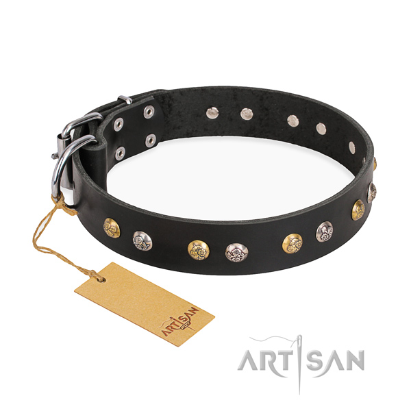 Daily walking amazing dog collar with rust resistant hardware
