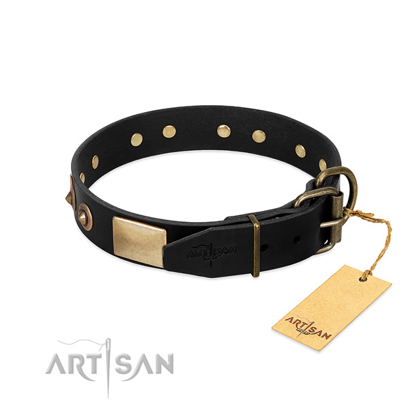 Durable D-ring on comfortable wearing dog collar