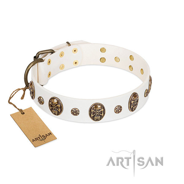 Easy wearing leather collar for your pet