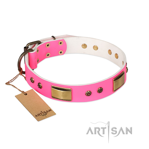 Impressive full grain leather collar for your pet